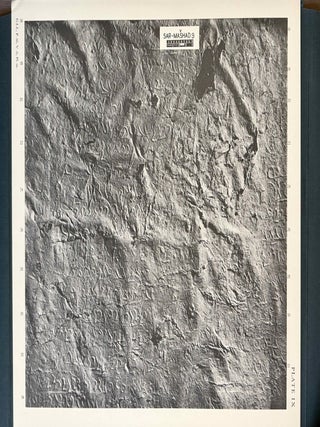 Vol. I: The inscription of Sar-Mashad. Vol. II: The inscription of Naqs-i Rustam.