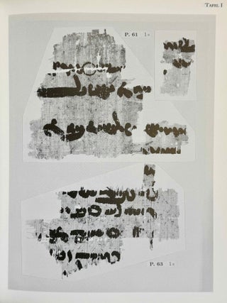 Ostraca, Papyri und Pergamente. Textband.[newline]M14639-07.jpeg