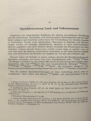 Zur grammatikalischen und lexikalischen Bestimmung des Luvischen. Untersuchung der Luvili-Texte.
