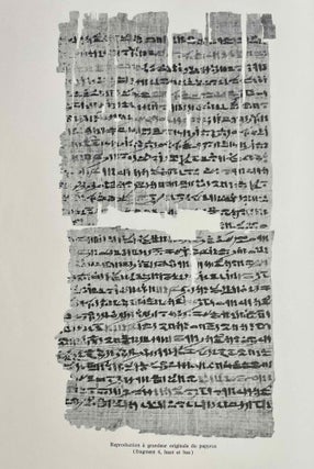 Un traité égyptien d'ophiologie[newline]M1495b-03.jpeg