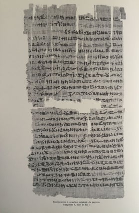 Un traité égyptien d'ophiologie[newline]M1495c-01.jpg