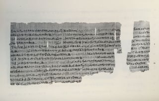 Un traité égyptien d'ophiologie[newline]M1495c-23.jpg