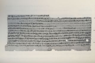 Un traité égyptien d'ophiologie[newline]M1495c-25.jpg