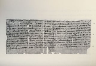 Un traité égyptien d'ophiologie[newline]M1495c-29.jpg