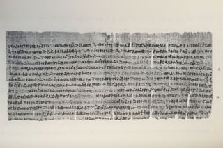 Un traité égyptien d'ophiologie[newline]M1495c-31.jpg