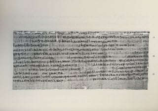 Un traité égyptien d'ophiologie[newline]M1495c-33.jpg