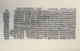 Un traité égyptien d'ophiologie[newline]M1495c-35.jpg