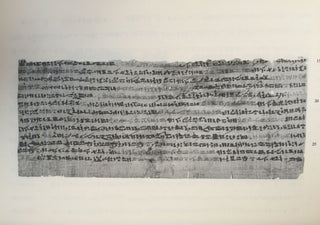Un traité égyptien d'ophiologie[newline]M1495c-37.jpg