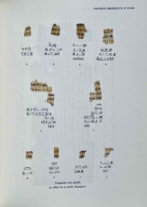Un traité égyptien d'ophiologie[newline]M1495j-12.jpeg