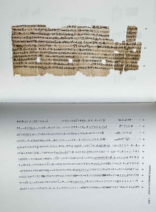 Un traité égyptien d'ophiologie[newline]M1495j-13.jpeg