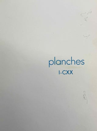 Le Ramesseum. Les piliers "Osiriaques". Tomes IX-1 & IX-2 (complete set)