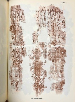 Dramatische Texte zu altägyptischen Mysterienspielen. Band I & II (complete set)[newline]M1565d-19.jpg