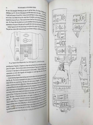 A History of Egyptian Sculpture and Painting in the Old Kingdom[newline]M1601b-14.jpeg