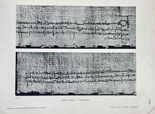 Der Papyrus Libbey. Ein Ägyptischer Heiratsvertrag.[newline]M1614-07.jpeg