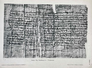 Der Papyrus Libbey. Ein Ägyptischer Heiratsvertrag.[newline]M1614-08.jpeg