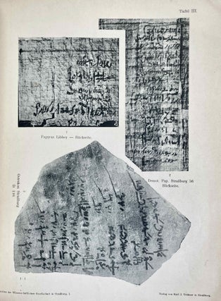Der Papyrus Libbey. Ein Ägyptischer Heiratsvertrag.[newline]M1614-09.jpeg