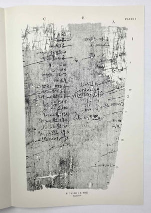Demotic mathematical papyri