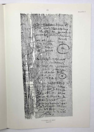 Demotic mathematical papyri
