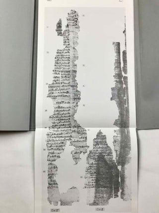 Papyrus Reinhardt. An Egyptian land list from the tenth century B.C.[newline]M1693a-11.jpeg