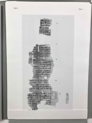 Papyrus Reinhardt. An Egyptian land list from the tenth century B.C.[newline]M1693a-12.jpeg