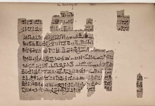 Zwei altägyptische politische Schriften. Die Lehre für König Merikarê (Pap. Carlsberg VI) und die Lehre des Königs Amenemhet.[newline]M1696d-09.jpeg