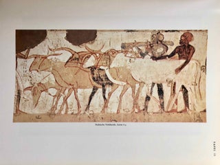 Das Grab des Haremheb. Theben Nr 78.