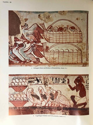 Das Grab des Haremheb. Theben Nr 78.