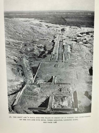 The rise and fall of the Middle Kingdom in Thebes[newline]M1750a-08.jpeg