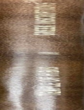 Item #M1751k The temple of Hibis in el-Khargeh oasis. Vol. II: Greek inscriptions. WINLOCK Herbert Eustis -, EVELYN WHITE H. G.[newline]M1751k-00.jpeg