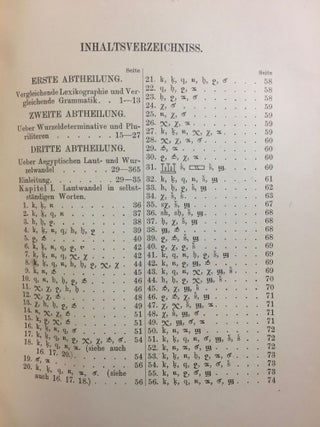 Einleitung in ein ägyptisch-semitisch-indoeuropäisches Wurzelwörterbuch[newline]M1775-04.jpg