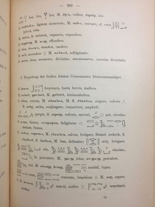Einleitung in ein ägyptisch-semitisch-indoeuropäisches Wurzelwörterbuch[newline]M1775-15.jpg