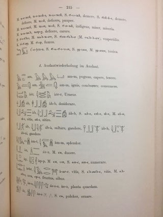 Einleitung in ein ägyptisch-semitisch-indoeuropäisches Wurzelwörterbuch[newline]M1775-16.jpg