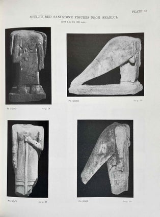 Areika. With a Chapter on Meroitic Inscriptions by F. Ll. Griffith.
