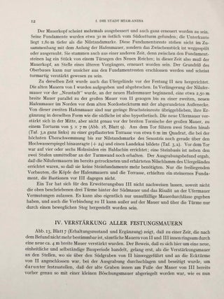 Aniba. Vol. I and Vol. II: Text and Plates (complete set)[newline]M1784a-28.jpg