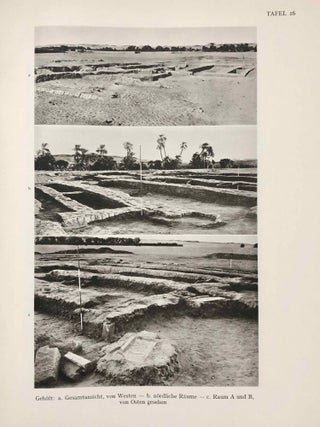 Aniba. Vol. I and Vol. II: Text and Plates (complete set)[newline]M1784a-42.jpg