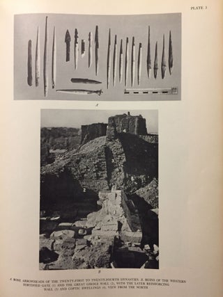 The Excavation of Medinet Habu. Vol. V: Post-ramessid remains.[newline]M1789c-10.jpg