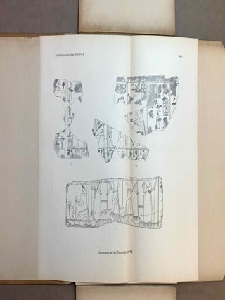 Das Re-Heiligtum des K&ouml;nigs Ne-Woser-Re (Rathures). Band II: Die kleine Festdarstellung.[newline]M1820a-04.jpeg