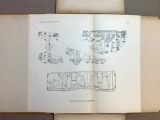 Das Re-Heiligtum des Königs Ne-Woser-Re (Rathures). Band II: Die kleine Festdarstellung.