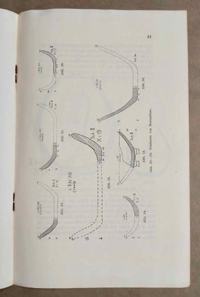 Vorbericht über die siebente Grabung der A.W.W. auf der vorgeschichtlichen Siedlung Merimde-Benisalâme. vom 25. Januar bis 4. April 1939[newline]M1835-05.jpeg