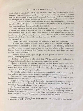 L’oryx dans l’ancienne Égypte. Suivi d’une étude "Le nom égyptien de l’oryx" par Victor Loret.