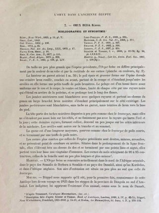 L’oryx dans l’ancienne Égypte. Suivi d’une étude "Le nom égyptien de l’oryx" par Victor Loret.