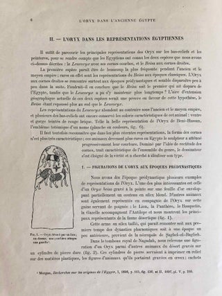 L’oryx dans l’ancienne Égypte. Suivi d’une étude "Le nom égyptien de l’oryx" par Victor Loret.
