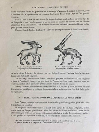 L’oryx dans l’ancienne Égypte. Suivi d’une étude "Le nom égyptien de l’oryx" par Victor Loret.