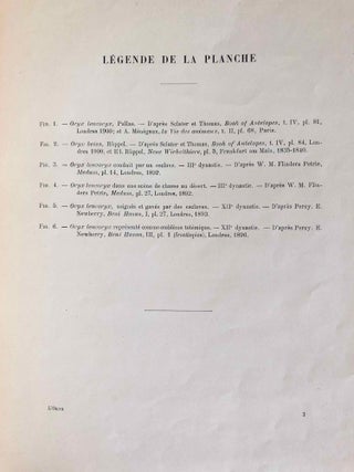 L’oryx dans l’ancienne Égypte. Suivi d’une étude "Le nom égyptien de l’oryx" par Victor Loret.