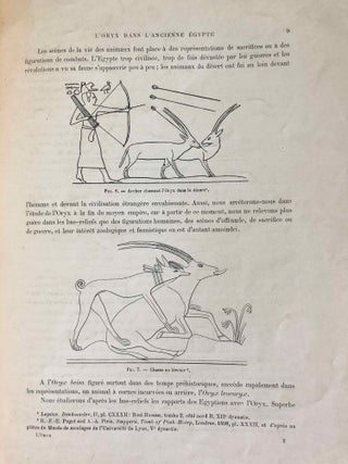L’oryx dans l’ancienne Égypte. Suivi d’une étude "Le nom égyptien de l’oryx" par Victor Loret.[newline]M1896-15.jpg