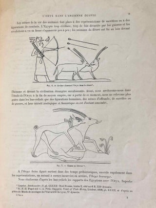 L’oryx dans l’ancienne Égypte. Suivi d’une étude "Le nom égyptien de l’oryx" par Victor Loret.
