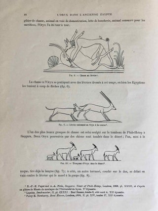 L’oryx dans l’ancienne Égypte. Suivi d’une étude "Le nom égyptien de l’oryx" par Victor Loret.[newline]M1896-16.jpg