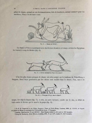 L’oryx dans l’ancienne Égypte. Suivi d’une étude "Le nom égyptien de l’oryx" par Victor Loret.