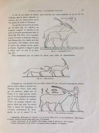 L’oryx dans l’ancienne Égypte. Suivi d’une étude "Le nom égyptien de l’oryx" par Victor Loret.