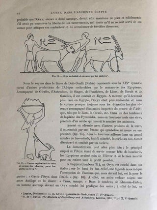 L’oryx dans l’ancienne Égypte. Suivi d’une étude "Le nom égyptien de l’oryx" par Victor Loret.[newline]M1896-18.jpg